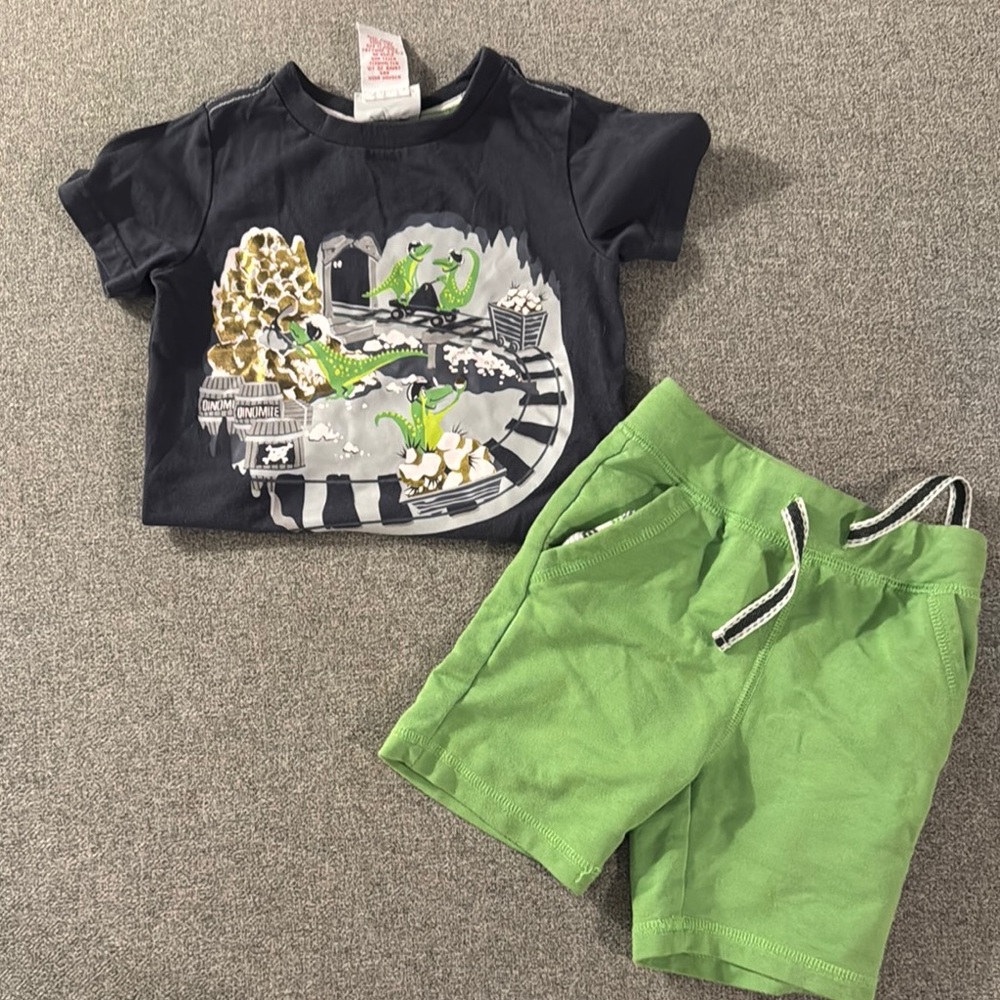5/$15- Kids Dinosaur Graphic Tee and Green Shorts Set